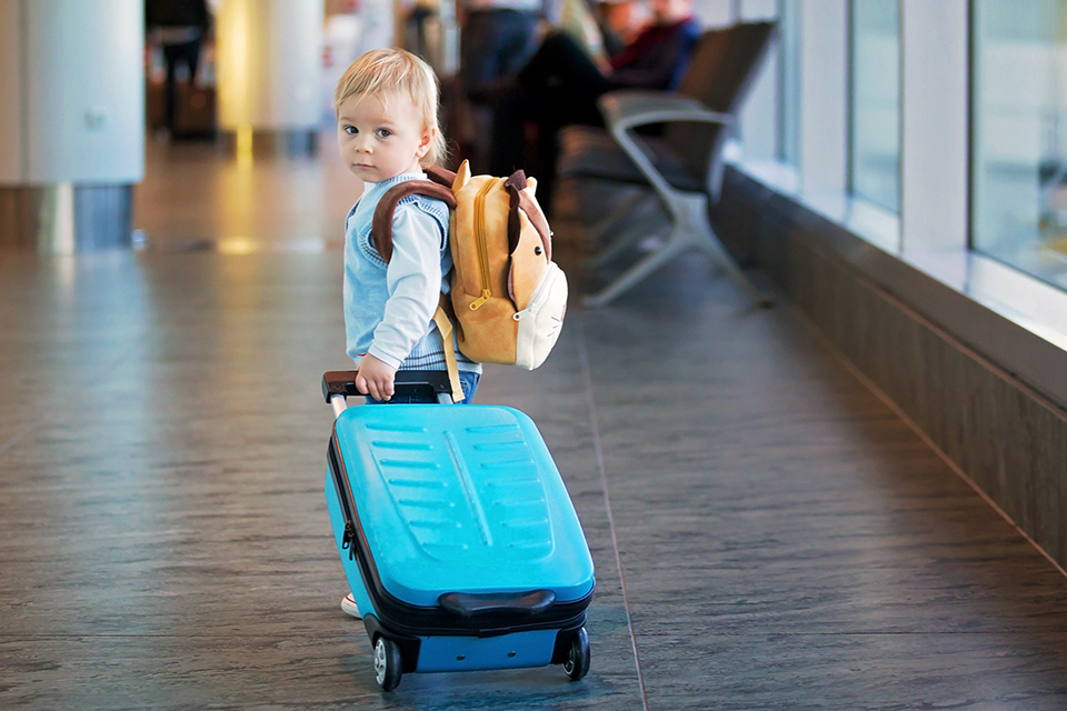 How does the Family Law Watchlist work?